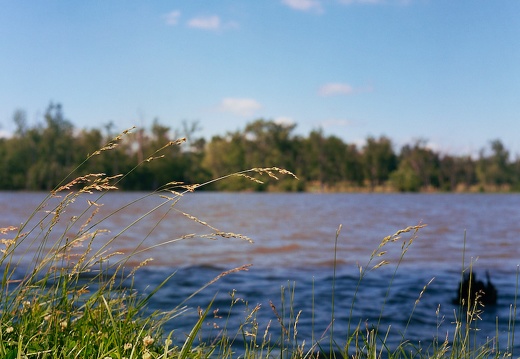 Fishing in Jackson Park, Spring 2010